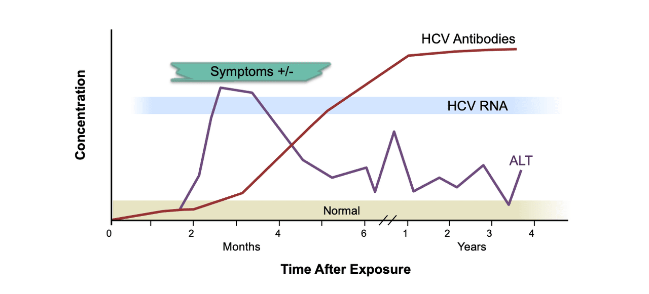 Core Concepts Diagnosis Of Acute Hcv Infection Screening And Diagnosis Of Hepatitis C