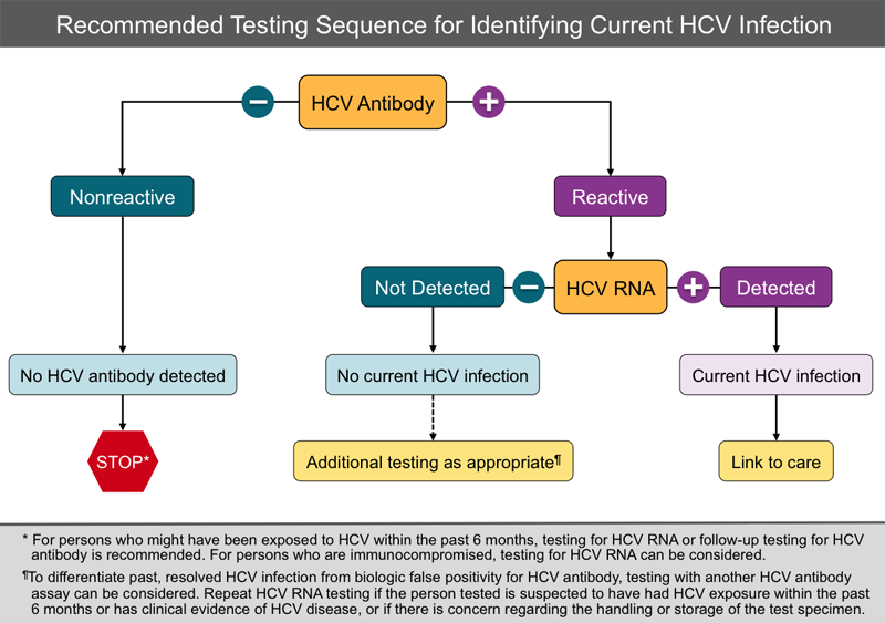 Core Concepts Hepatitis C Diagnostic Testing Screening and